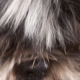 Charles Gunter Photo 32