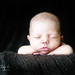Tracy Page Photo 23