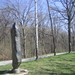 David Culver Photo 27