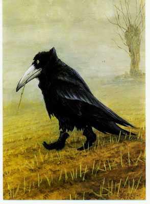 Tracy Benedict Photo 8