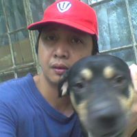 Daniel Pastor Photo 9