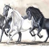 Natalie Beck Photo 25