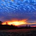 Dawn Ennis Photo 19