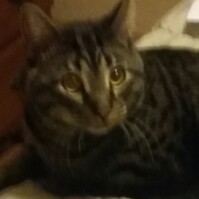 Rebecca Morales Photo 39