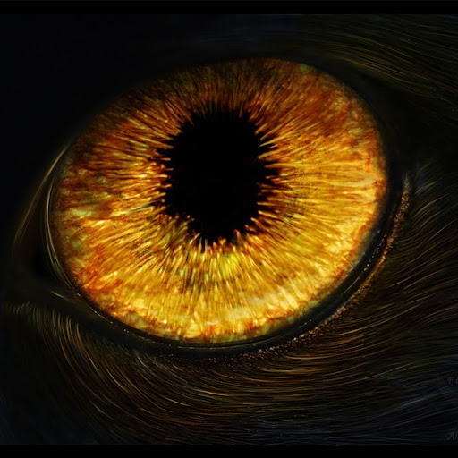 Theodore Nelson Photo 9