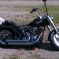 Larry Stein Photo 18