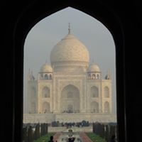 Tracey Mcneil Photo 8