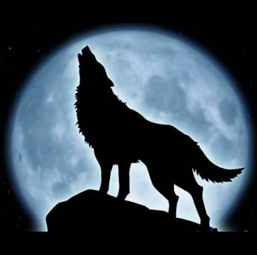 Chad Conrad Photo 17