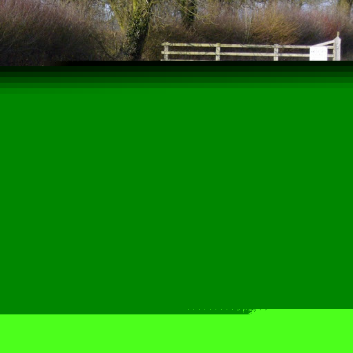 Patricia Morin Photo 34