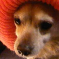 Debbie Gomez Photo 15