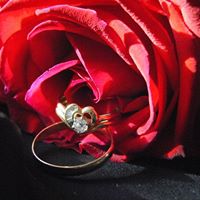 Christine Meacham Photo 10