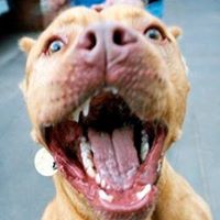 Jimmy Cummings Photo 19