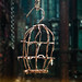 Jennifer Koenig Photo 42