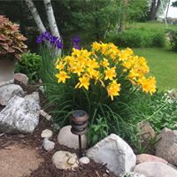 Janet Kirschner Photo 7