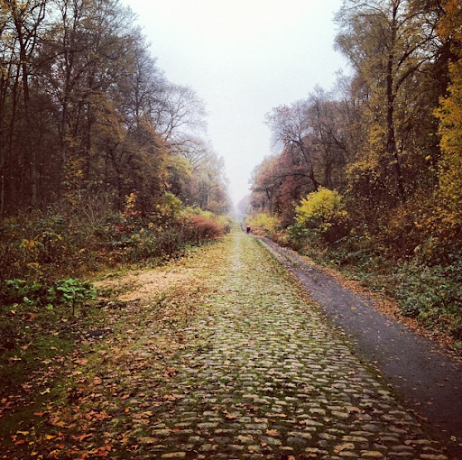 Scott Mccloud Photo 24