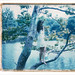 Elizabeth Pack Photo 33
