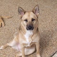 Tammy Starr Photo 12