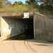 Jeff Swanson Photo 15