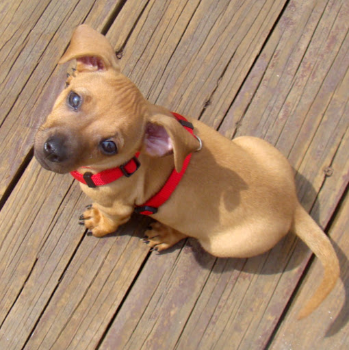 Jamie Olson Photo 39