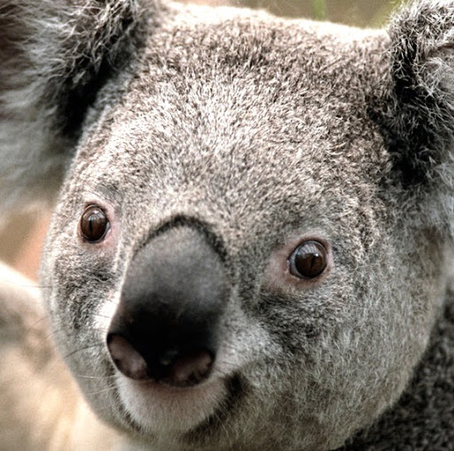 Mark Macgregor Photo 31