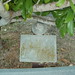Mary Mccain Photo 29