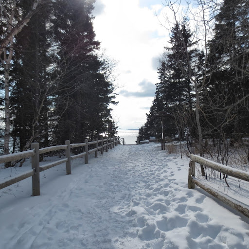 Barbara Higgins Photo 28