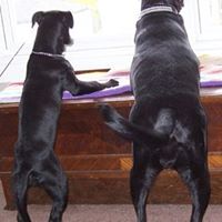 Lucy Lawrence Photo 37