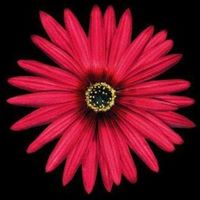 Angie Miller Photo 7 Angie Miller Photo 7