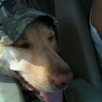 Mary Fallon Photo 28 Mary Fallon Photo 28