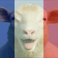 Jeffrey Poole Photo 12