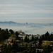 Steven Roth Photo 52