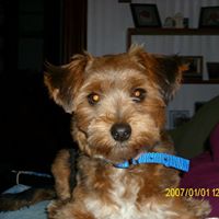 Virginia Richey Photo 4