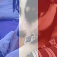 Brian Holmberg Photo 6