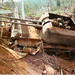 Nghia Cao Photo 5