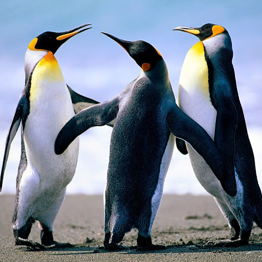 Madeline Robbins Photo 1