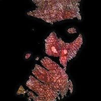 Julian Jenkins Photo 18