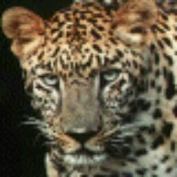 Phillip Richards Photo 18