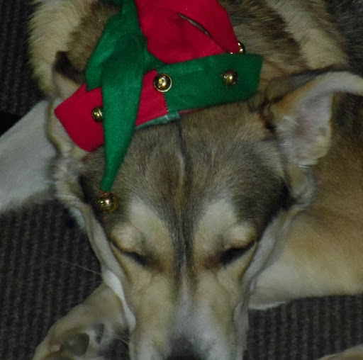 Victor Patterson Photo 5