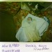 Daniel Stauffer Photo 10