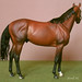 William Kroll Photo 18
