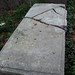 Robert Mcnutt Photo 21