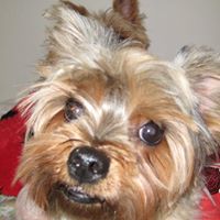 Phyllis Wood Photo 7