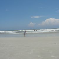 Dana Lester Photo 14