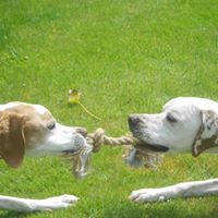 Ruth Francis Photo 7