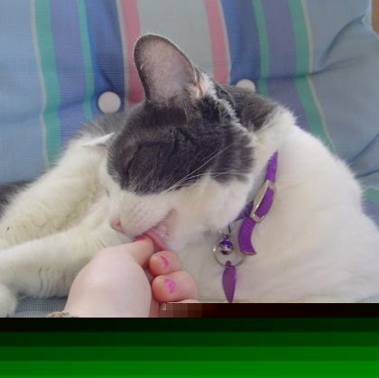 Roberta Albright Photo 2