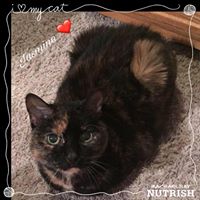 Colleen Ray Photo 21