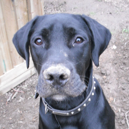 Scott Swift Photo 20