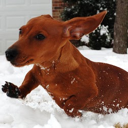 Jackie Walters Photo 34