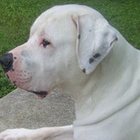 Shane Baker Photo 36