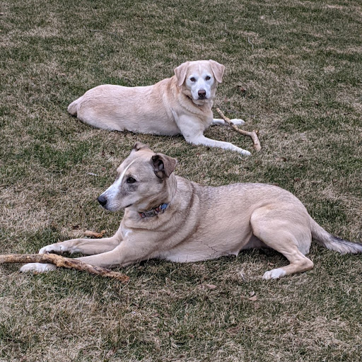 Christina Schultz Photo 16